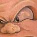 Tattoos - Life's a pretty sweet fruit - 59605
